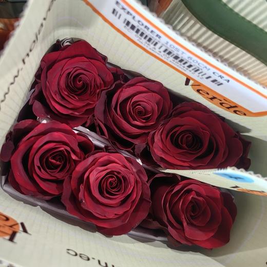 厄瓜多尔进口玫瑰explorer 探险家10支 商品图2