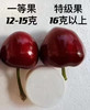 [大樱桃]  纯净0残留 无科技狠活 商品缩略图1