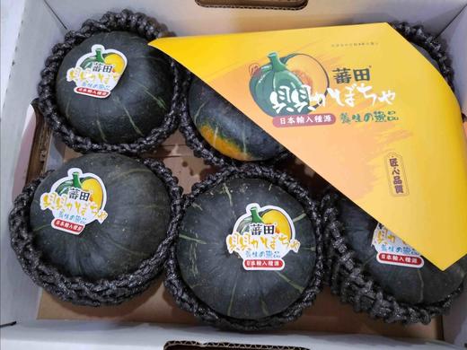 贝贝南瓜（网） 商品图1