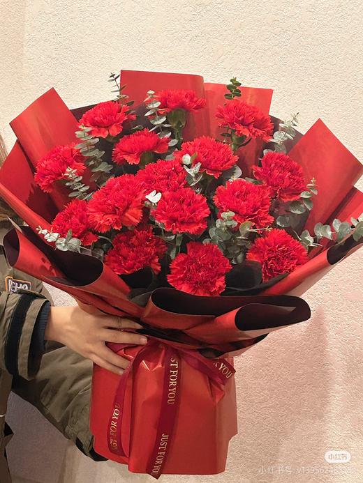 女神节15枝红康乃馨花束 商品图0