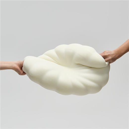 自然醒贝壳零压生物基深睡枕头透气睡觉专用成人家用护颈椎记忆棉一对XK 商品图3