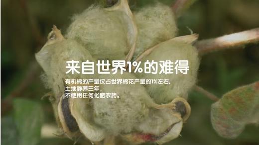 ANNIEWIN棉绿香格里【有机彩棉】新生儿针织蝴蝶衣（52、59、66尺码可选） 商品图2