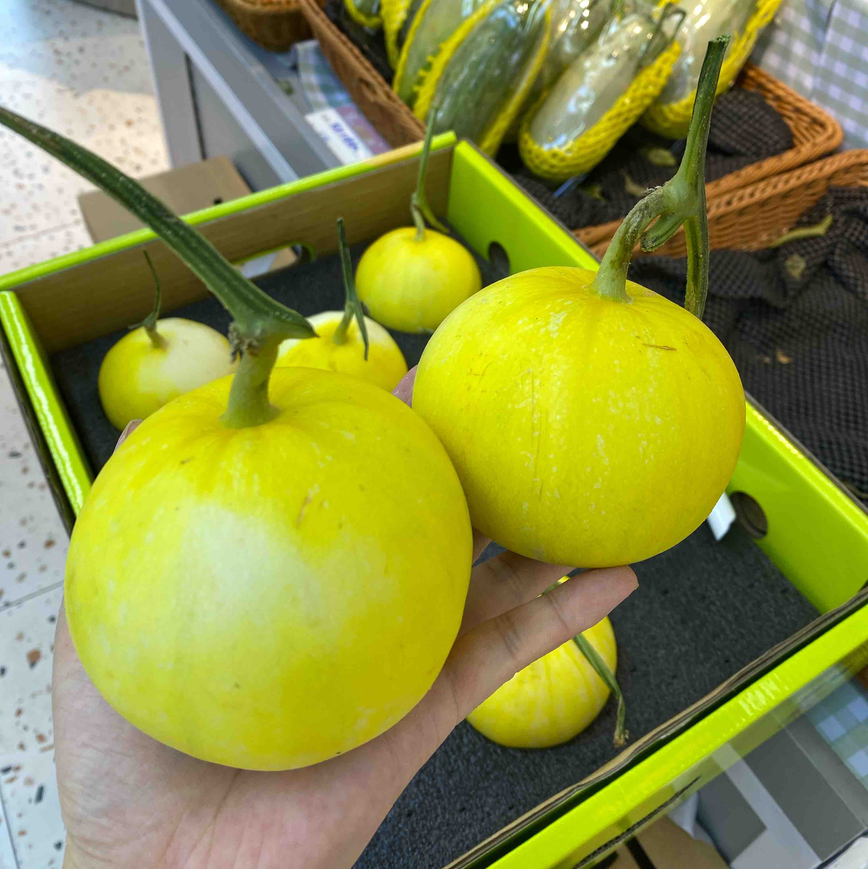 Sc马连庄冰糖脆甜瓜