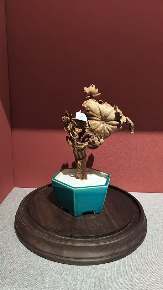 和美檀香木盆景摆件 商品图0