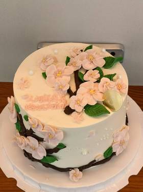 【手绘刮刀花】春祺夏安-梅花