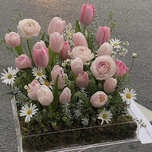 《春和景明》粉色郁金香透视花盒 商品图4