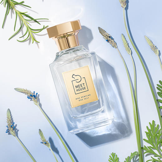 白茶与轻烟草50ml 商品图0