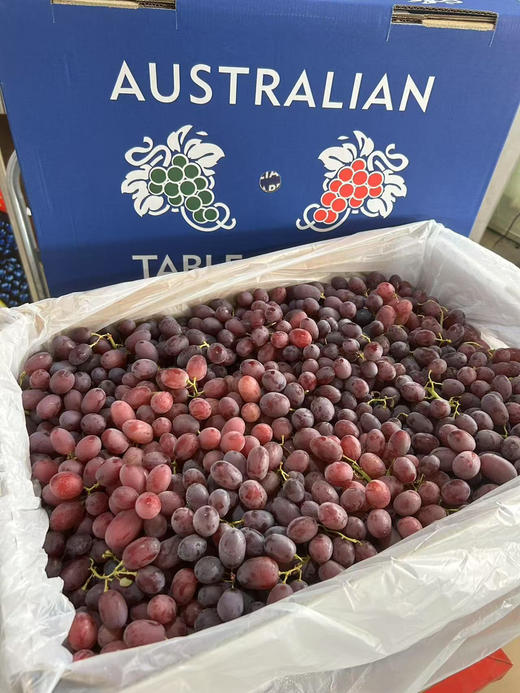 宏丰精选 澳洲进口无籽奶提 口感纯甜 无籽  活动价28.8一斤 商品图2