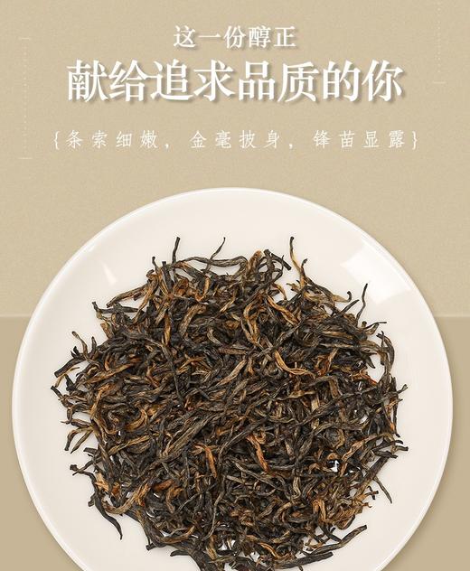 骏德  特制金骏眉 2025年春茶 桐木关正山小种红茶 50g 商品图3