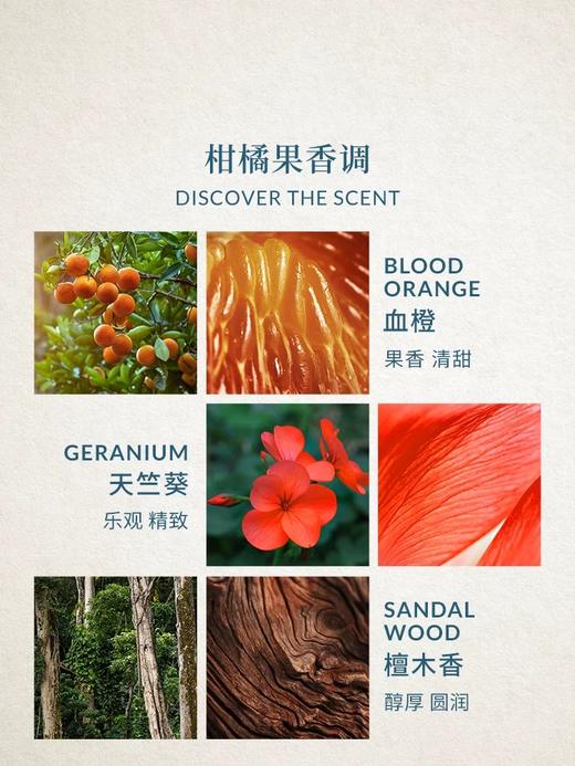 欧珑赤霞橘光香水果香柑橘调持久留香 商品图1