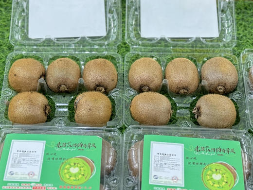 西猕九号（盒） 商品图3