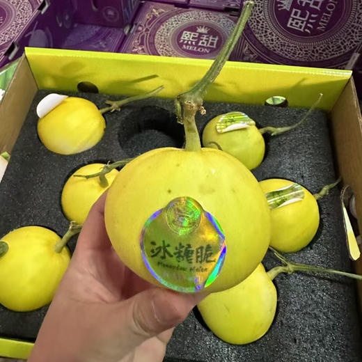 Sc马连庄冰糖脆甜瓜 商品图1