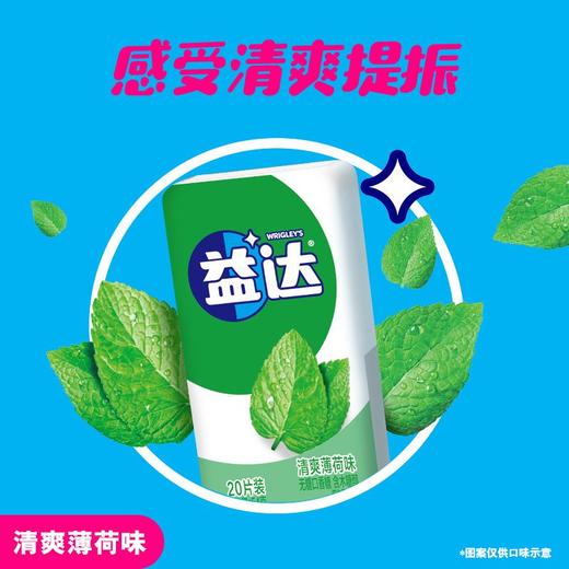 益达清爽薄荷味无糖口香糖 20片装 54g 商品图2
