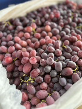 宏丰精选 澳洲进口无籽奶提 口感纯甜 无籽  活动价28.8一斤