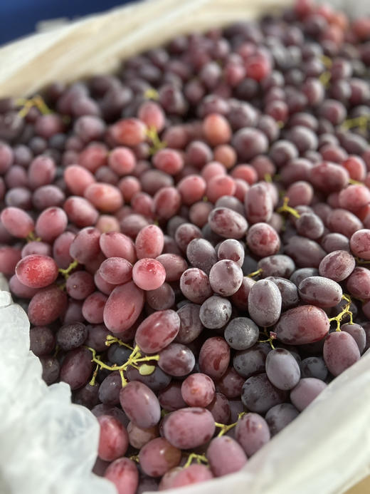 宏丰精选 澳洲进口无籽奶提 口感纯甜 无籽  活动价28.8一斤 商品图0