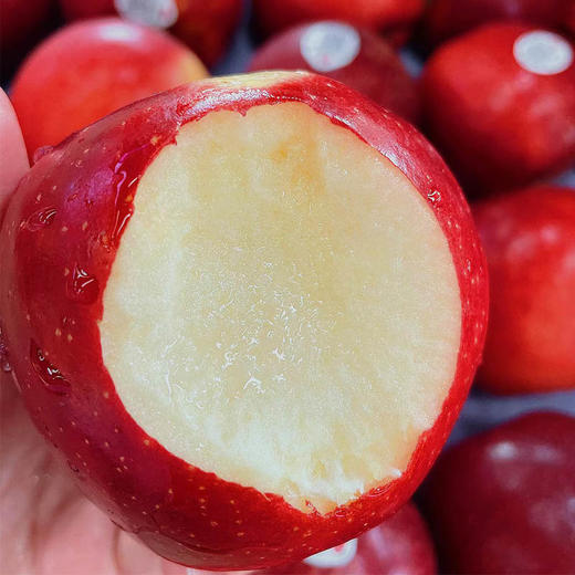 进口咖喱果 商品图1