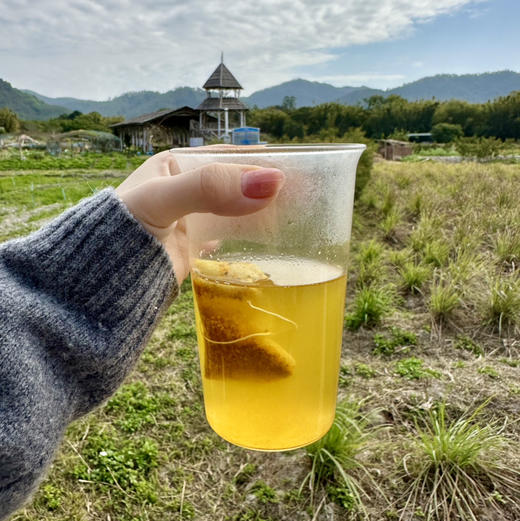 【生态姜黄肉桂】白瘦活力不是梦｜破除瘀堵行气｜不焦虑不抑郁｜无农残无科技无添加｜微量元素丰富｜每天正常刷牙不会着色（姜黄见光脱色 印度人用姜黄以黄祛黄做美白面膜） 商品图0