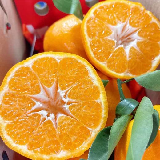 耙耙柑 约500g/份（口口爆汁） 商品图1