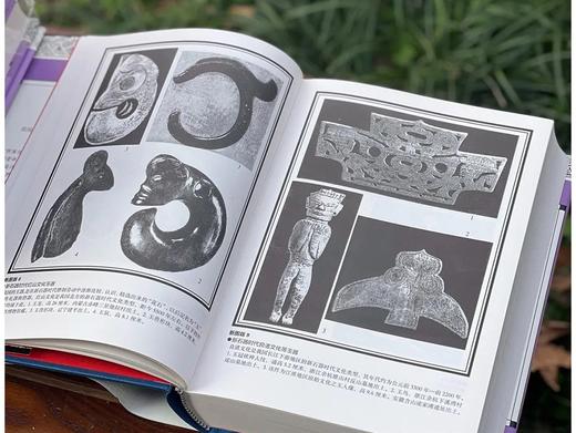 《中国图案大系》（修订版），精装，16开，全6册，张道一主编，山东美术出版社2023年4月一版一印，3956页，定价890元，售价：568元。 商品图2