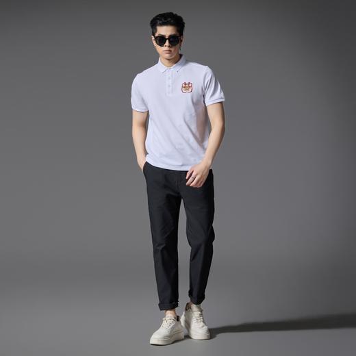 PINLI品立2025春夏季新款修身短袖POLO衫男商务休闲百搭翻领上衣BG252112016 商品图1