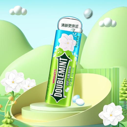 绿箭无糖薄荷茉莉花茶味 35粒金属瓶装 23.8g 商品图1