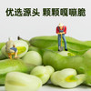 新农哥兰花豆牛肉味200g（新老包装随机发） 商品缩略图2