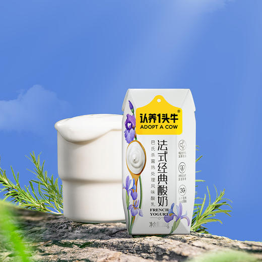 认养一头牛法式原味酸200g*10盒【5月早餐团】 商品图0