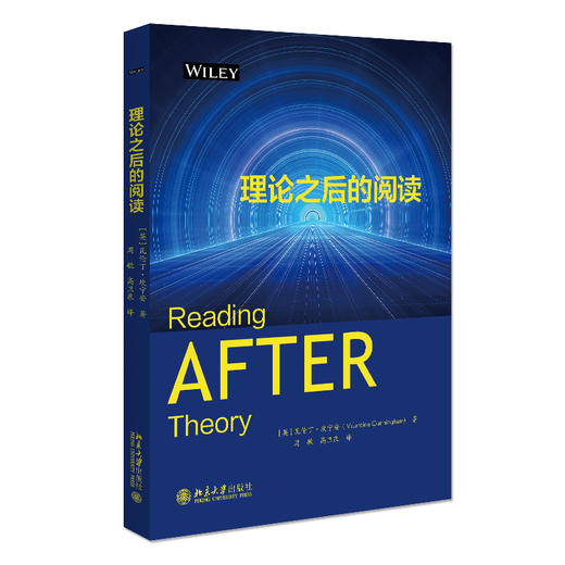 理论之后的阅读 瓦伦丁·戴维·坎宁安 著  周敏 高卫泉 译 北京大学出版社 当代西方学术前沿丛书 商品图0