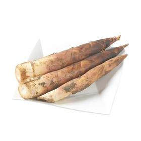 竹笋(春笋) 600g/份 全国配送（偏远地区除外）