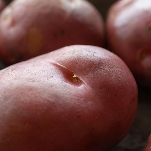 【基地直发】云南大福的土豆🥔雪山脚下的粉糯好土豆，下锅煮软糯绵滑，入油炸酥脆飘香，净重5斤装 商品图4