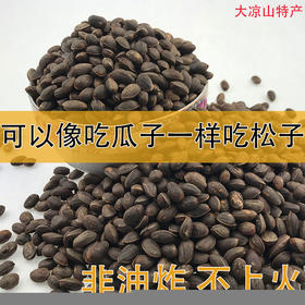 酥口松子四川凉山原生态野生松子孕妇坚果零食开口松子1/3/5斤