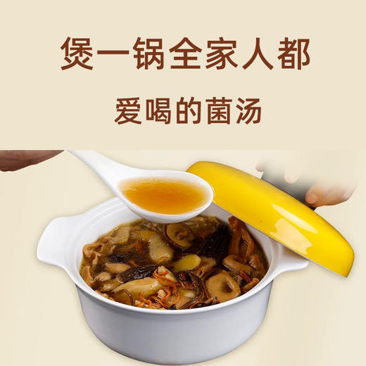 雅咕嘟林芝菌汤包八珍菌味100g 商品图3