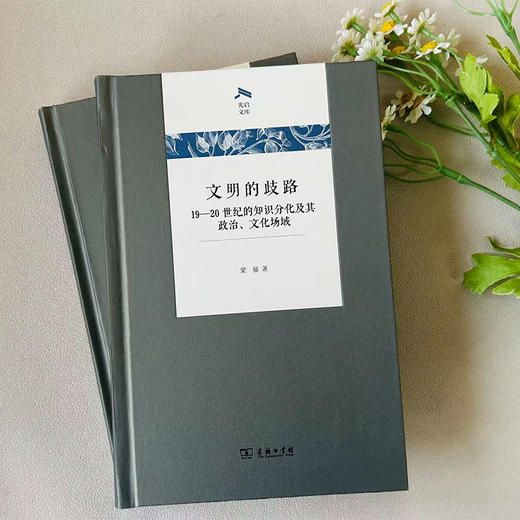 文明的歧路：19—20世纪的知识分化及其政治、文化场域 商品图1