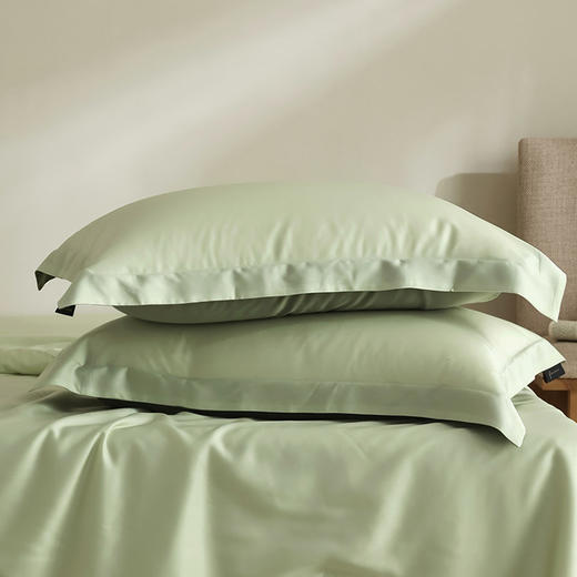 【60S莱赛尔天丝单枕套】天丝枕套60S兰精天丝凉感枕头套纯色一对48X74cm单品 商品图1