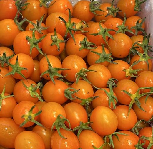 爆汁小黄蜂番茄（2.2斤左右） 商品图0