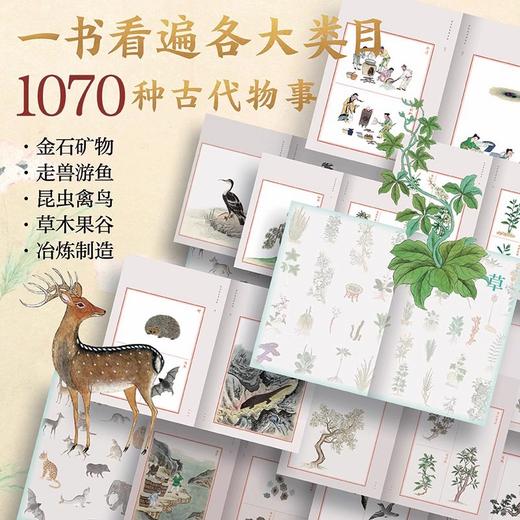 送《金石昆虫草木状：绝美中国博物手绘》刷边特装礼盒｜三联中读知识会员（年卡） 商品图2