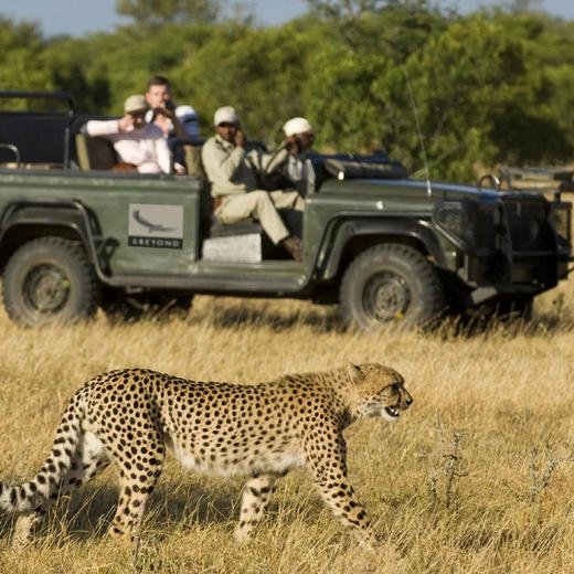 南非 | 南非初印象·8天7晚 商品图6