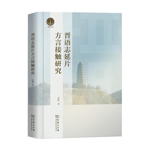 晋语志延片方言接触研究 商品图0