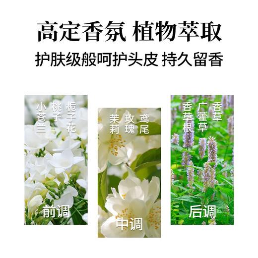 【KEVIN & KATHY®凯文凯茜  益生元头皮焕活洗发水】200ML一瓶，买一瓶发三瓶，净化头皮角质，舒缓头皮环境，控油去屑。 商品图2