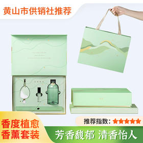 【香度】植愈香薰套装 车载清新空气 家用室内持久留香DKS2401C