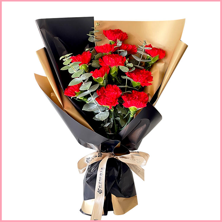 牵挂丨11枝红色康乃馨花束