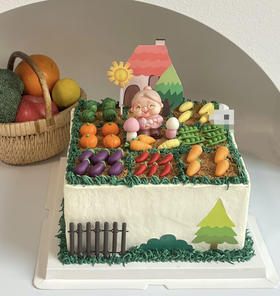 奶奶的菜园子（八寸）