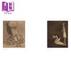 【中商原版】Alfred Kubin: The Aesthetic of Evil 进口艺术 阿尔弗雷德·库宾：邪恶的美学 Hatje Cantz Verlag 商品缩略图4