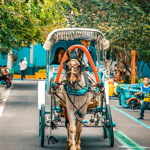 春漫伊犁丨新疆·伊犁 赛里木湖那拉提安集海大峡谷·8天7晚【go小团】 商品图3