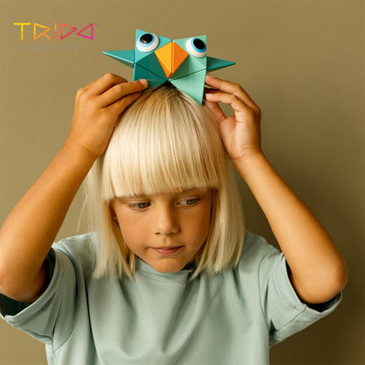 Trido  绿野迷踪磁力套装 初阶12片 磁力游戏 适合年龄3岁+ 成长益智 英国 775002Z75 商品图6