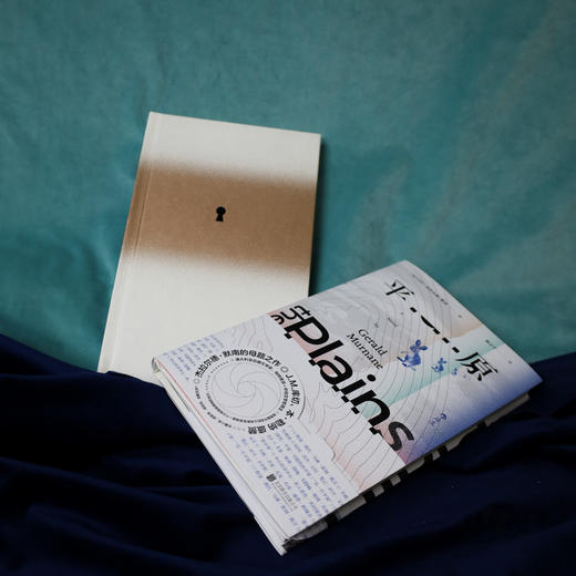 平原 杰拉尔德默南著 简版《城堡》 J.M.库切盛赞 超现实主义 澳大利亚当代长篇小说 外国文学 后浪正版 商品图1