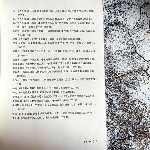 脱离与重建 谢默斯·希尼与爱尔兰文化身份建构 杜心源 商品图13