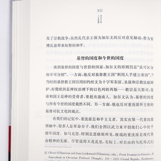 《加尔文的人生智慧：荣耀他并永远以他为乐》 商品图3