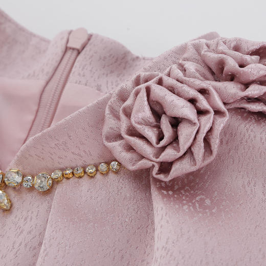 QF802斯尔丽2025新款轻礼服商场同款宴会大气高端手工盘玫瑰花连衣裙 商品图5