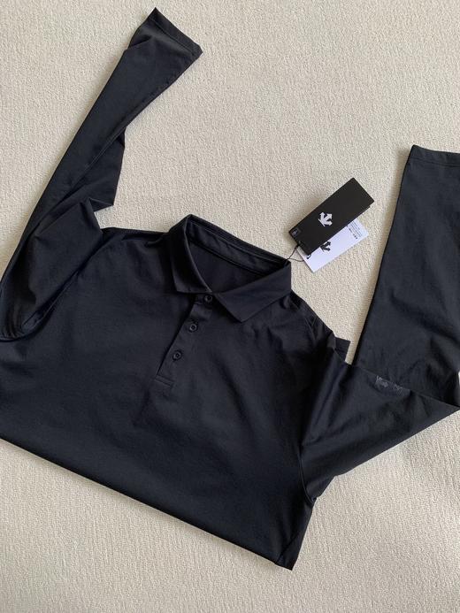 点此购买 迪桑特DUALIS系列都市通勤男士长袖POLO衫 md 310865 商品图13